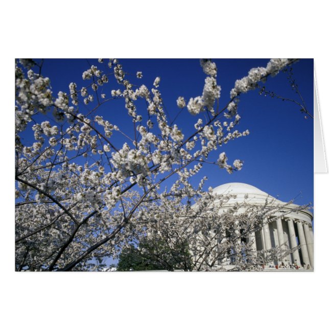 EE. UU., Washington D. C. Festival de Flor de Cere (Anverso (Horizontal))