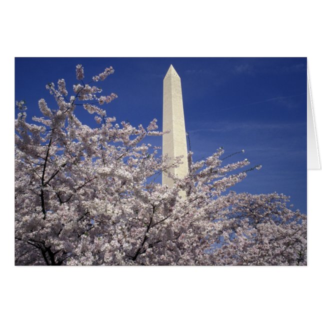 EE. UU., Washington DC. Festival de las flores de  (Anverso (Horizontal))