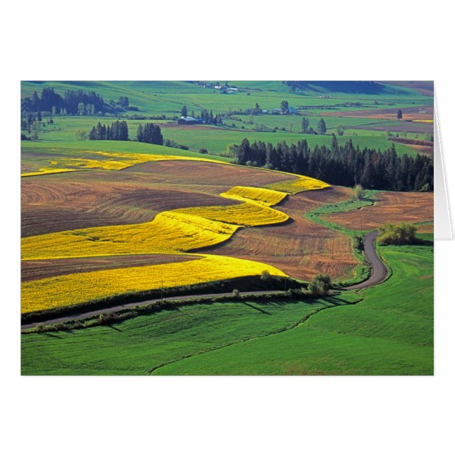 EE. UU., Washington, Palouse, condado de Whitman 2 (Anverso (Horizontal))