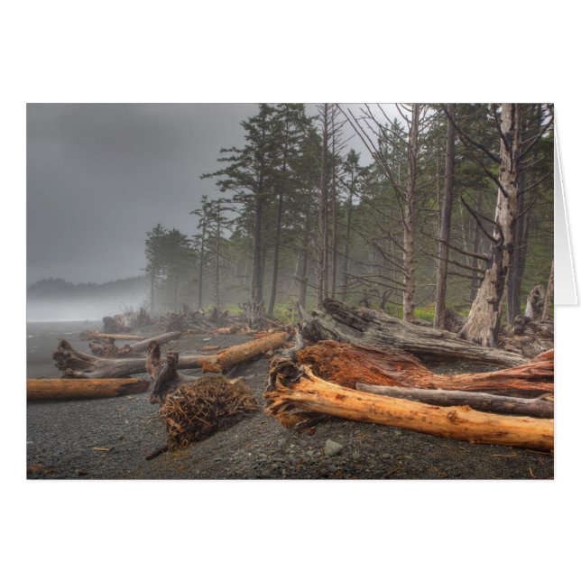 EE. UU., Washington, Parque Nacional Olímpico, Ria (Anverso (Horizontal))