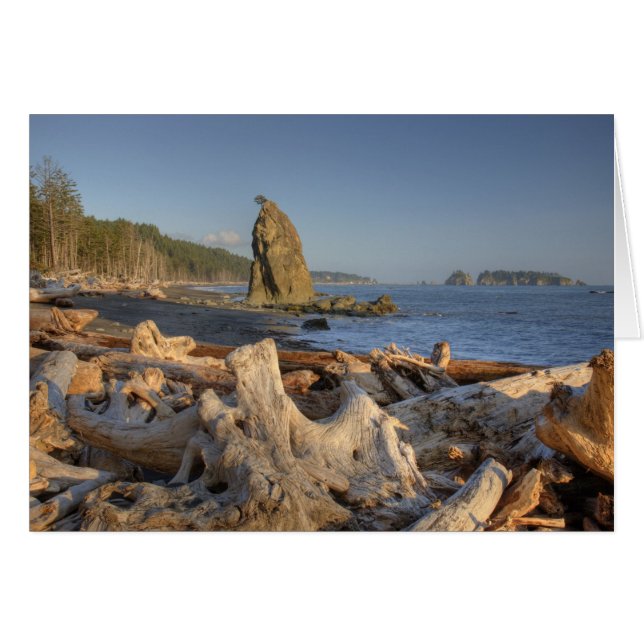 EE. UU., Washington, Parque Nacional Olímpico, Ria (Anverso (Horizontal))