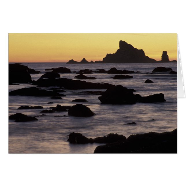EE. UU., Washington, Parque Nacional Olímpico, Sea (Anverso (Horizontal))