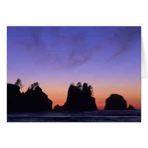 EE. UU., Washington, Parque Nacional Olímpico, Shi