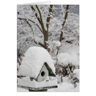 EE.UU., Washington, Seabeck. Cierre de la casa de