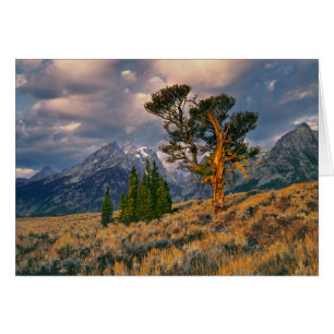 EE. UU., Wyoming, Parque Nacional Grand Teton. El