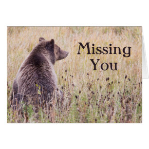 EE. UU., Wyoming, Parque Nacional Yellowstone, Gri