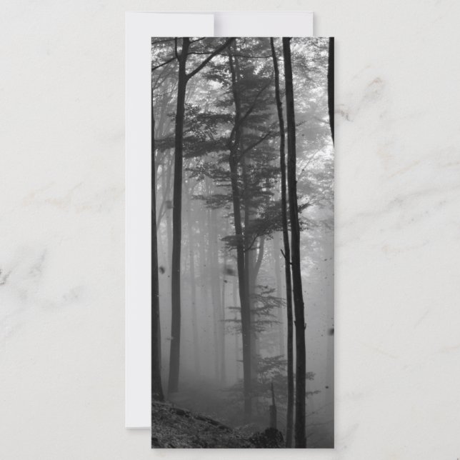 EERIE FOREST TREES LEAVES B&W (Anverso)