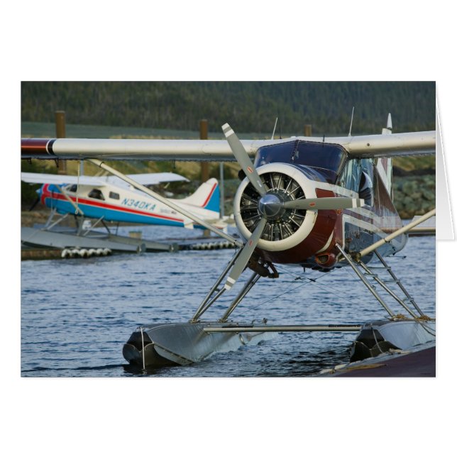 EEUU, ALASKA, Sudeste de Alaska, KETCHIKAN: (Anverso (Horizontal))