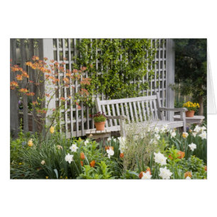 EEUU, Georgia, Montaña Pina. Presidente en el