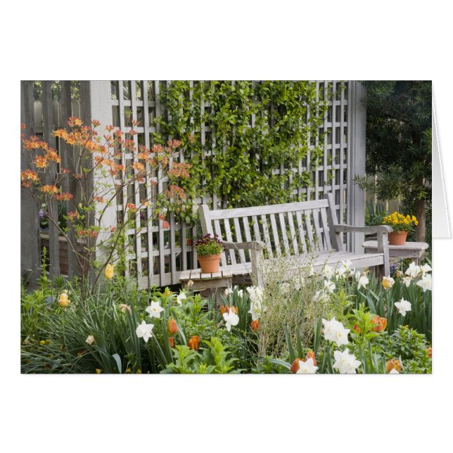 EEUU, Georgia, Montaña Pine. Presidente en (Anverso (Horizontal))