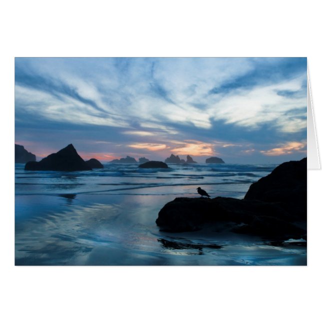 EEUU, Oregón, Bandon Beach. Gaviota en roca (Anverso (Horizontal))