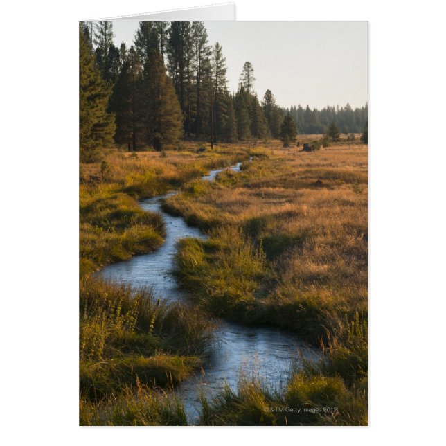 EEUU, Oregón, Creek Paulina (Frente)