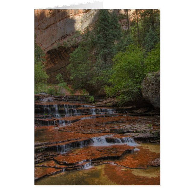 EEUU, Utah, Parque Nacional Zion. Escena de (Frente)