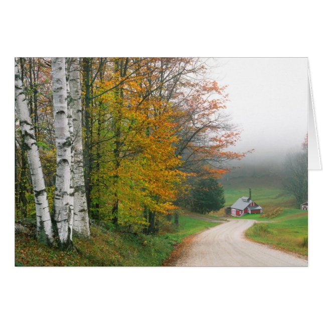 EEUU, Vermont. Casa De Azúcar Cerca De La Ciudad D (Anverso (Horizontal))