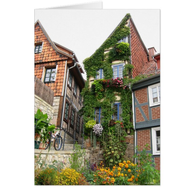 efecto de la casa verde (Frente)