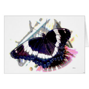 Efecto mariposa 3