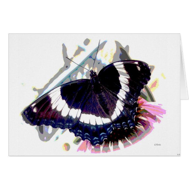 Efecto mariposa 3 (Anverso (Horizontal))