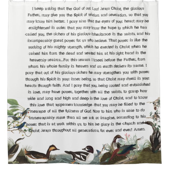 Efesios 3 Aves Audubon Wildlife Shower Cortina (Anverso)