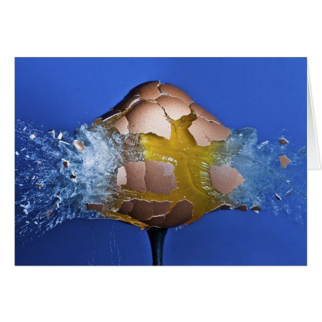 Eggceptional (Anverso (Horizontal))