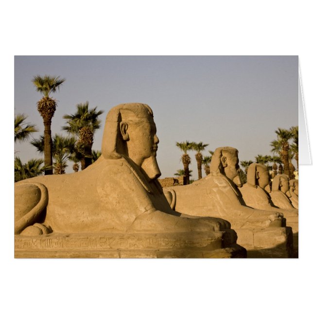 Egipto, Luxor. La Avenida de las Esfinges conduce  (Anverso (Horizontal))