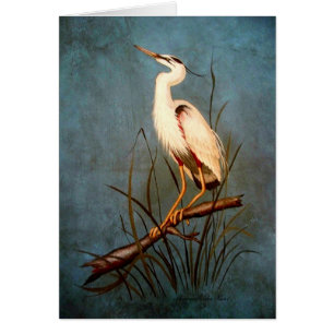 Egret