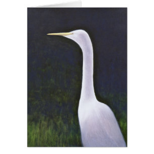 Egret blanco