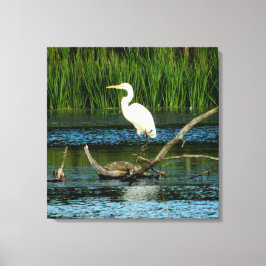 Egret de nieve en la impresión de lienzo de regist