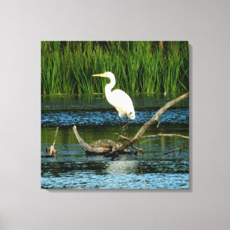 Egret de nieve en la impresión de lienzo de regist