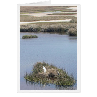 Egret En Casa