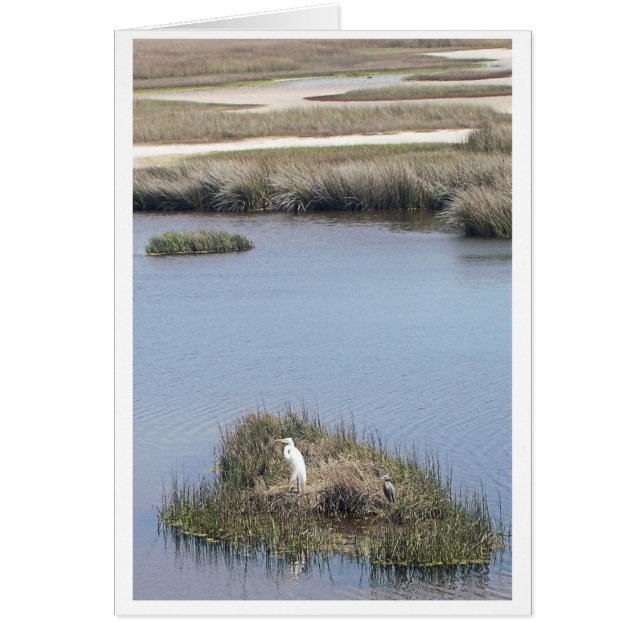Egret En Casa (Frente)