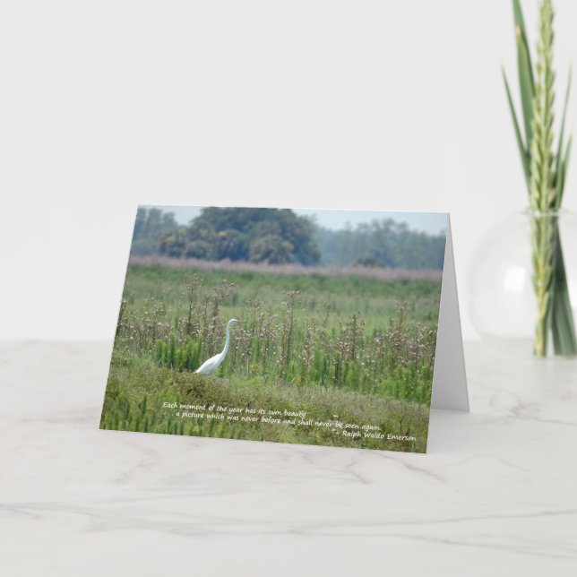 Egret en el campo de la tarjeta de las flores (Anverso)