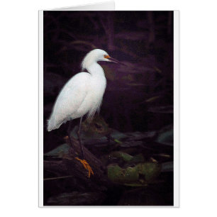 ¿Egrets? He tenido algunos…