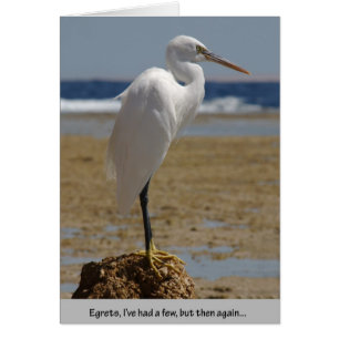 Egrets que he tenido unos cuantos