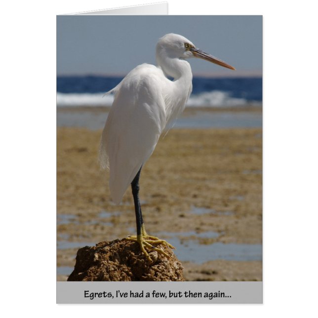 Egrets que he tenido unos cuantos (Frente)