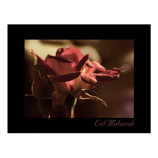 Eid Mubarak - postal del rosa rojo