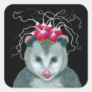 Einstein, los pegatinas del opossum