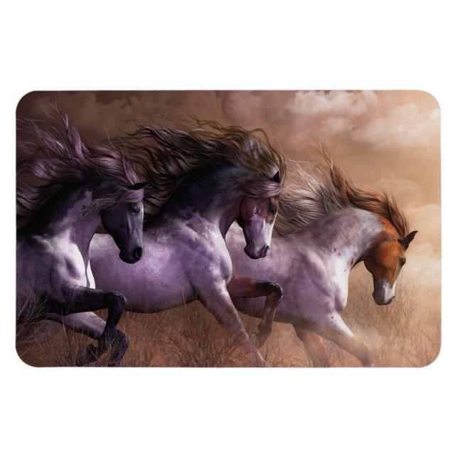 Ejecutar el imán flexi premium de Freedom (Horizontal)