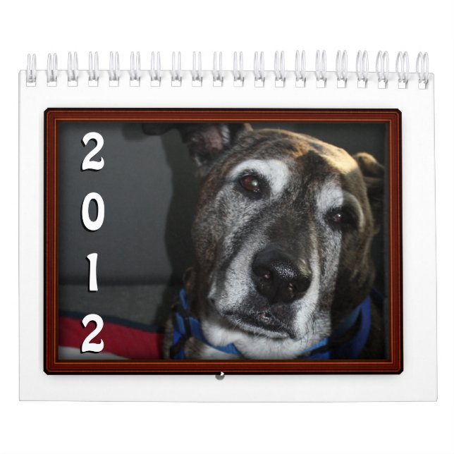 Ejemplo de calendario del marco fotográfico (Tapa)