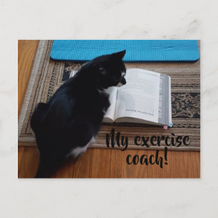 Ejercicio de gato lindo Enseñar tus postales de te