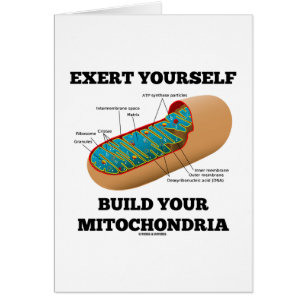 Ejérzase estructura sus mitocondrias