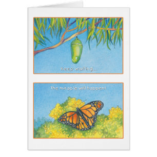 El 27:14 del salmo de la mariposa de monarca