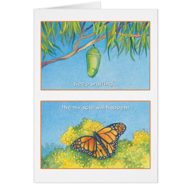 El 27:14 del salmo de la mariposa de monarca (Frente)