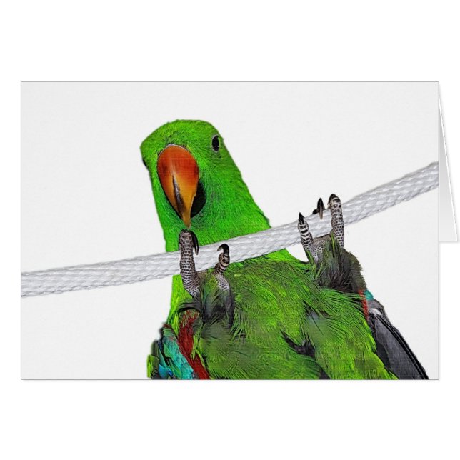 El actor (Anverso (Horizontal))