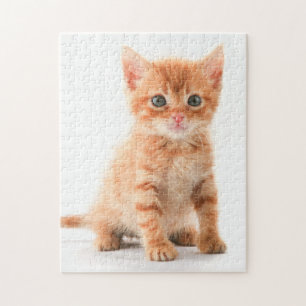 El Adorable Naranja Tabby Kitten Jigsaw Puzzle
