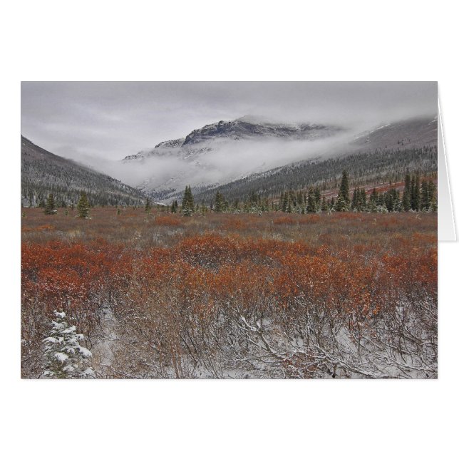 El advenimiento del invierno (Anverso (Horizontal))