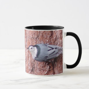 El aferrarse en la taza del pájaro del