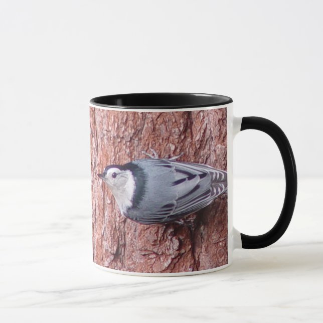 El aferrarse en la taza del pájaro del (Derecha)