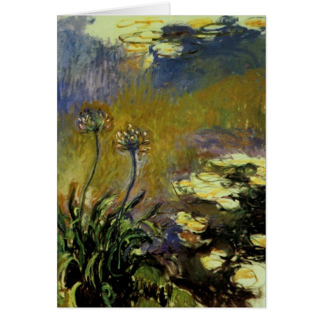 El Agapanthus (Frente)