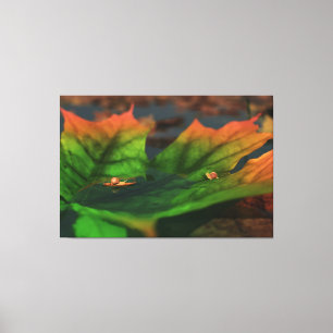 El Agua Es Amplia Impresión De Lienzo