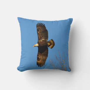 El águila calva se eleva sobre la almohada de árbo